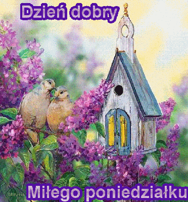 Ptaszki wśród fioletowych kwiatów miłego poniedziałku